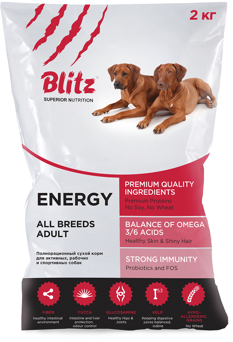 Blitz: сухой корм для активных и рабочих собак всех пород