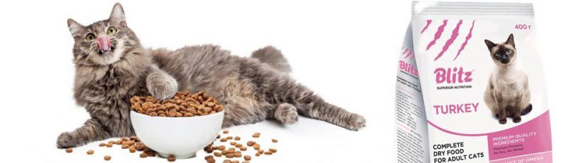 Сколько сухого корма нужно давать кошке в день?