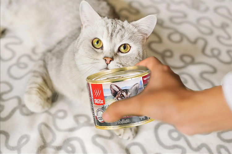 Российские влажные корма для кошек: Blitz
