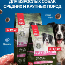 Набор Blitz Holistic Adult FRESH LAMB сухой корм для собак ягненок 12кг+1,5кг в подарок