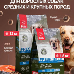 Набор Blitz Holistic Adult FRESH TROUT сухой корм для собак форель 12кг+1,5кг в подарок