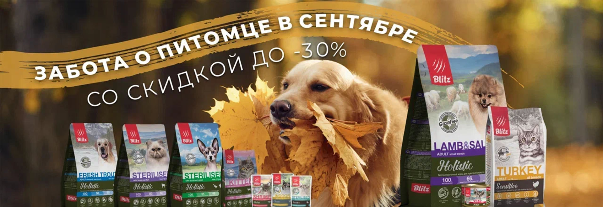 Забота о питомце в сентябре