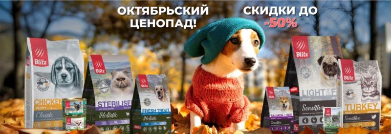 Октябрьский ценопад!