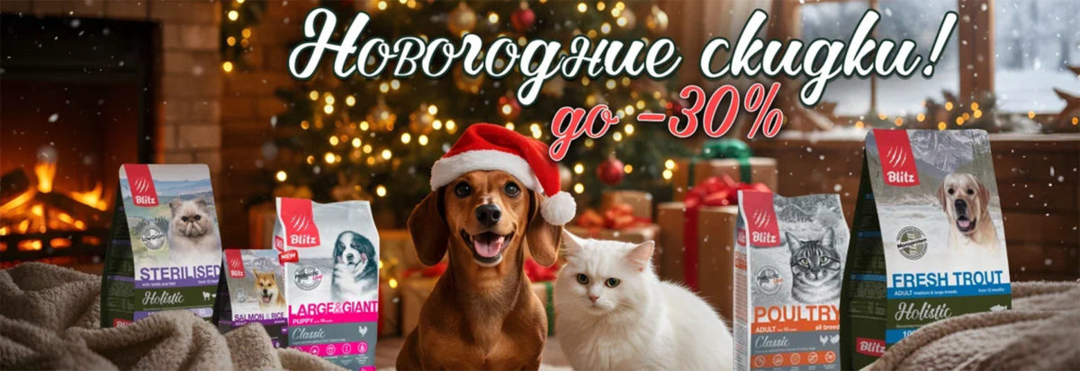 Новогодние скидки!