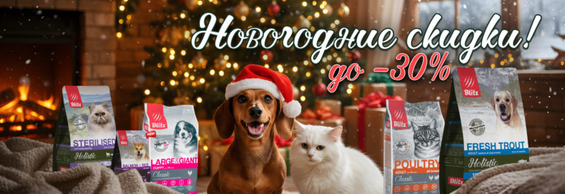 Новогодние скидки! Новогодние скидки!