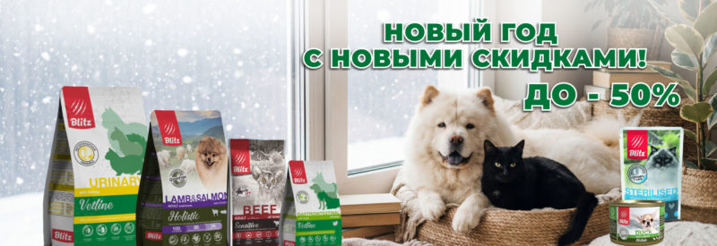 В новый год с новыми скидками! В новый год с новыми скидками!
