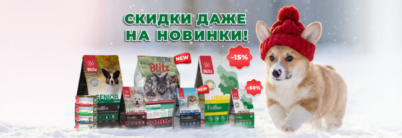 Скидки даже на новинки!
