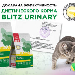 Доказана эффективность приема полнорационного ветеринарного корма  BLITZ VETLINE URINARY