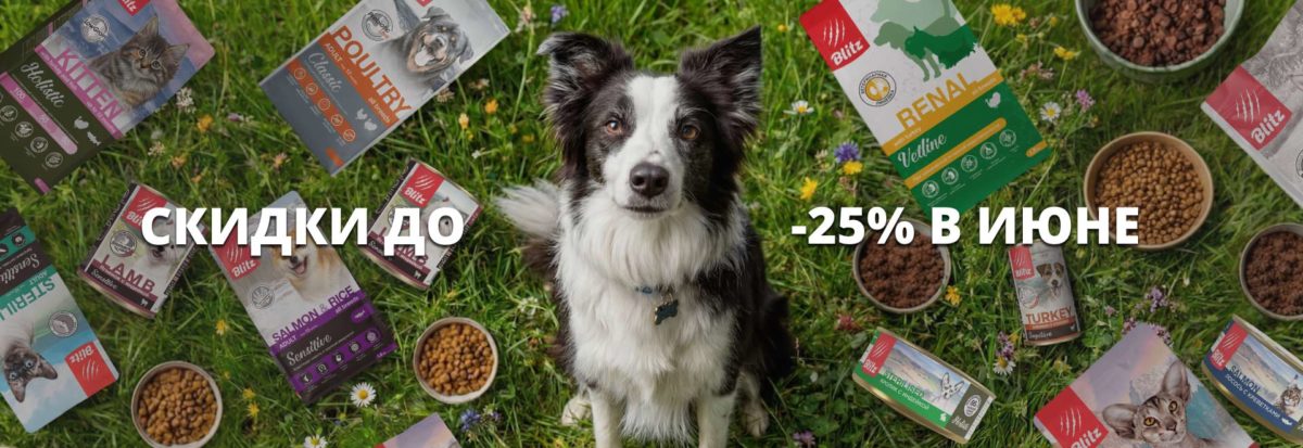 Скидки до 25% в июне