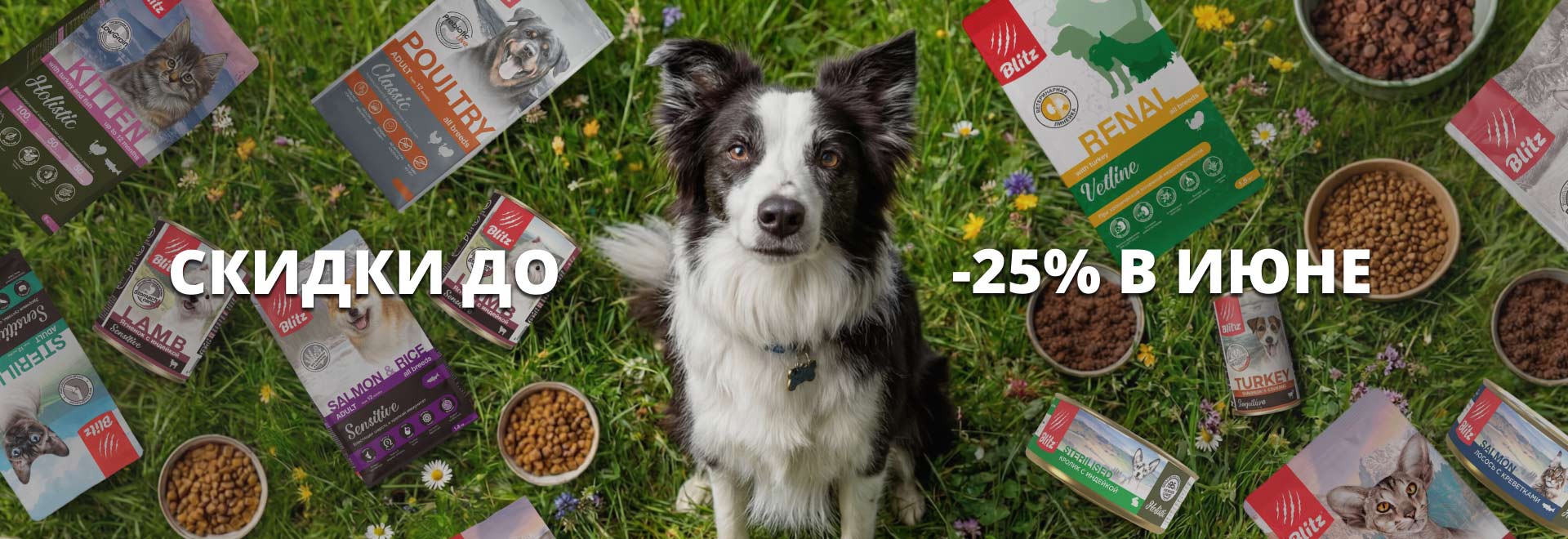 Скидки до 25% в июне