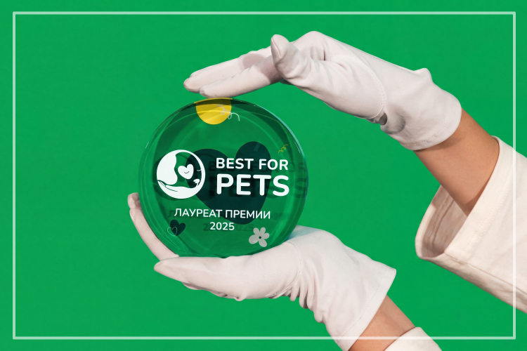 Победа Blitz на премии Best for Pets 2025